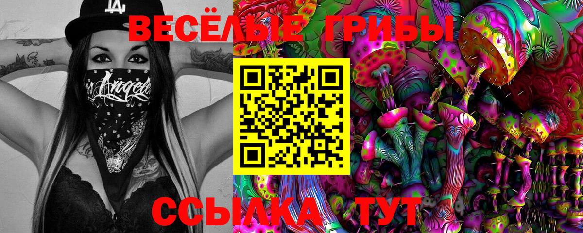 Кумертау  Псилоцибиновые грибы Cubensis  Вход с VPN  Галлюциногенные грибы MAGIC MUSHROOMS 