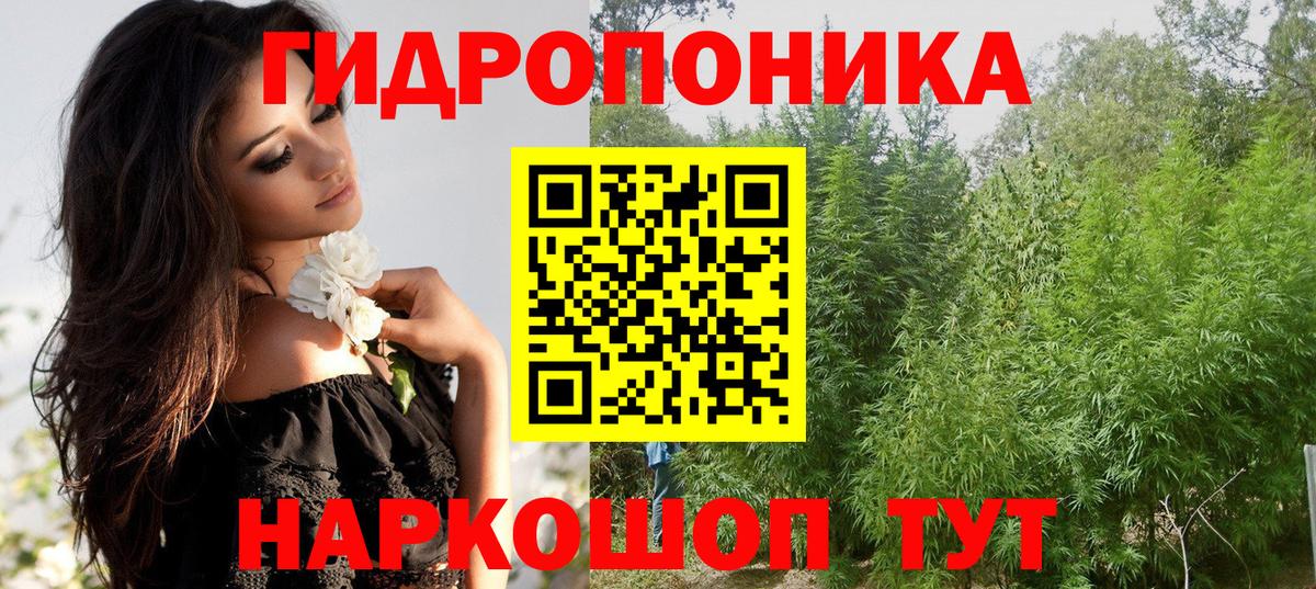 Бошки марихуана OG Kush  Конопля семена  Марихуана OG Kush  МАРИХУАНА SATIVA & INDICA  Кумертау  Вход с VPN 